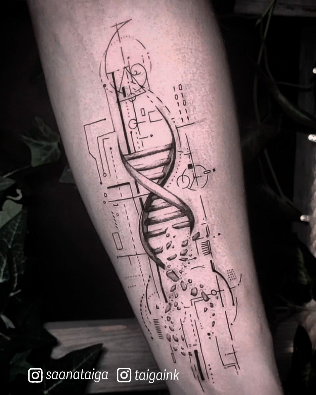 Wildcat Store Joensuu - Taiga Ink - tatuointikuva 6 - 15-19092026