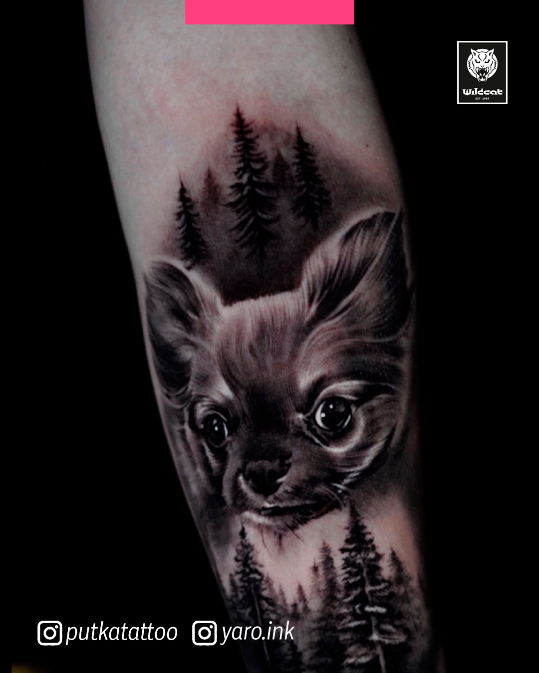 Wildcat Store Joensuu - Yaro - ajanvaraus tatuointi 6 - 2809-03102026